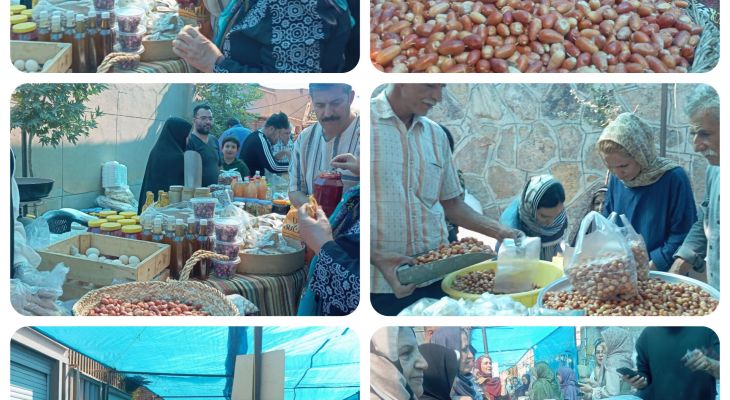 الویجان تفرش میزبان جشنواره سنجدونان شد