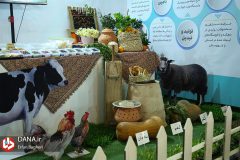 دهکده‌های اقتصاد مقاومتی راهکاری برای افزایش بهره‌وری تولید کشاورزی و دامپروری هستند