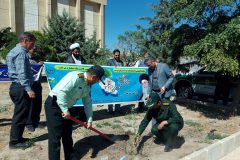 پویش مهر با غرس دو اصله نهال در تفرش برگزار شد