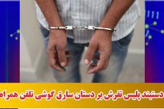 دستبند پلیس تفرش بر دستان سارق گوشی تلفن همراه