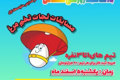 مسابقه نجات تخم مرغ