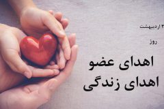 اهدای عضو ادامه زندگی