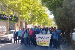 پیاده‌روی همگانی به مناسبت هفته فرهنگی تفرش
