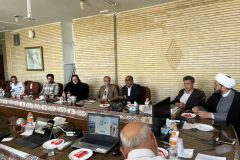 بهسازی محوطه امام‌زاده محمد فم در دستور کار مشترک میراث و اوقاف