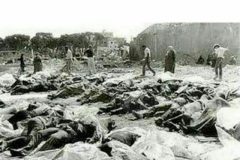 قیام مسجد گوهرشاد چرا و چگونه اتفاق افتاد؟