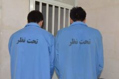 دستگیری دو نفر توزیع کننده موادمخدر در تفرش
