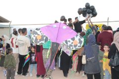 بادبادک‌ها در تفرش به پرواز درآمدند