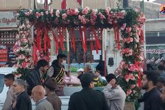 عطر بهشت در تفرش پیچید