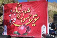 سومین جشنواره انار روستای فرسمانه
