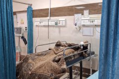 وقوع تصادف جاده‌ای در محور تفرش–سلفچگان با ۶ مصدوم